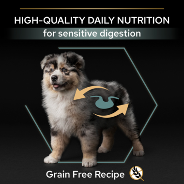 High quality nutrition for sensitive digestion