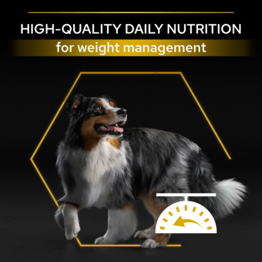 High quality everyday nutrition for weight management