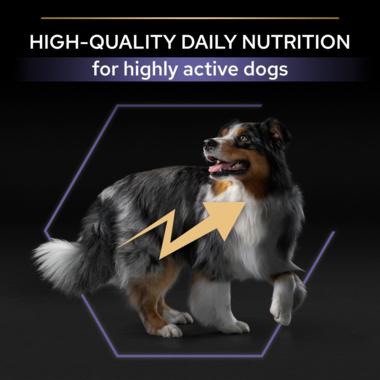 High quality daily nutrition for highly active dogs