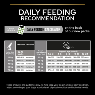 Daily feeding recommendation