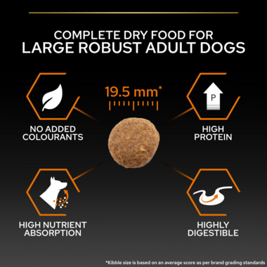 Complete dry food for large robust adult dogs