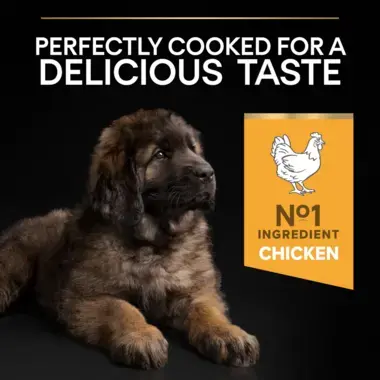 Perfectly cooked for a delicious taste