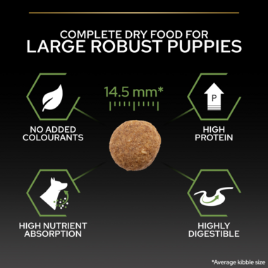 Complete dry food for large robust puppies