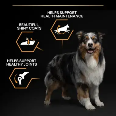 Supports health maintenance, shiny coats, healthy joints