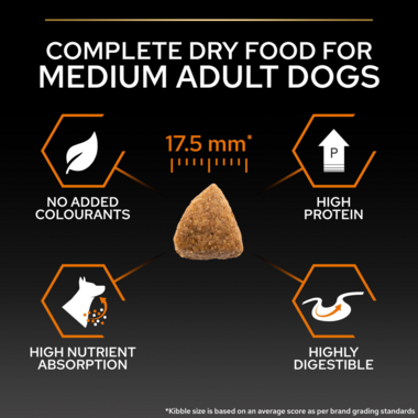 Complete dry food for medium adult dogs