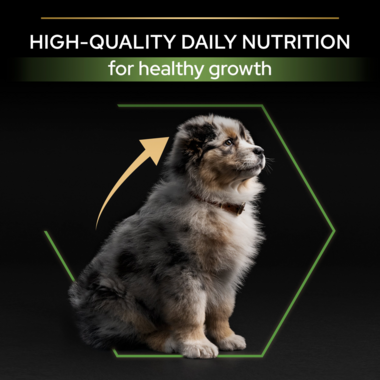 High quality daily nutrition for healthy growth