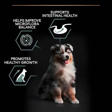Supports intestinal health, improves microflora balance, promotes healthy growth