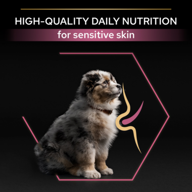 High quality daily nutrition for sensitive skin