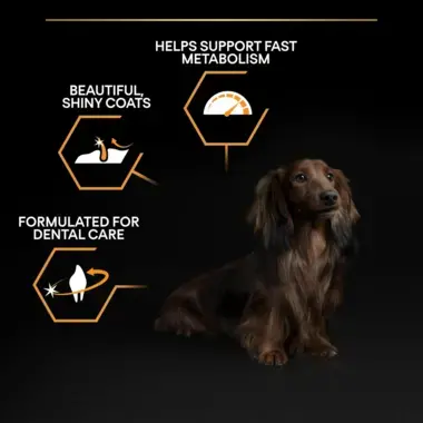 Supports fast metabolism, shiny coats, dental care