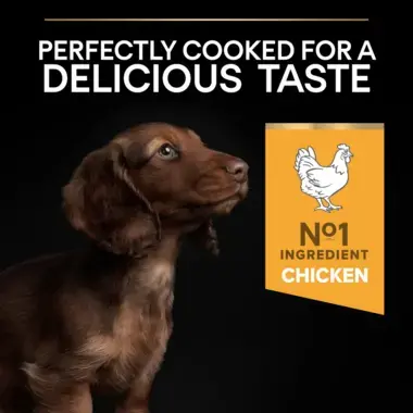 Perfectly cooked for a delicious taste