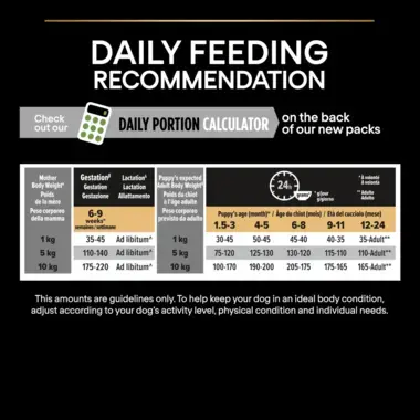 Daily feeding recommendation