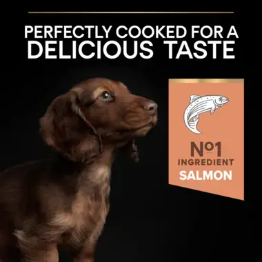 Perfectly cooked for a delicious taste