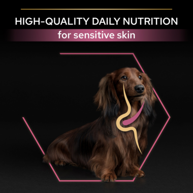 High quality daily nutrition for sensitive skin
