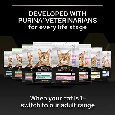 PRO PLAN® Kitten Healthy Start Chicken Dry Cat Food