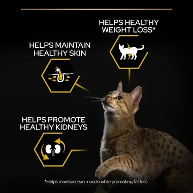 PRO PLAN® Light Turkey Dry Cat Food