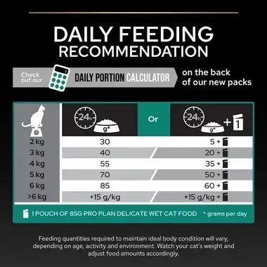 PRO PLAN Renal Plus Chicken Dry Cat Food