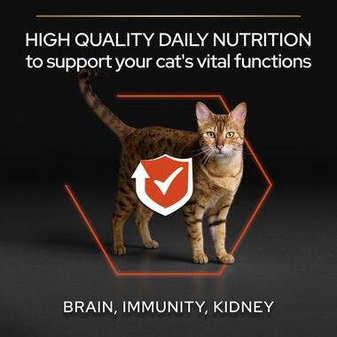 PRO PLAN® Vital Functions Salmon Dry Cat Food