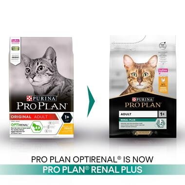 PRO PLAN® Renal Plus Chicken Dry Cat Food