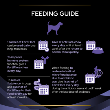 Feeding guide