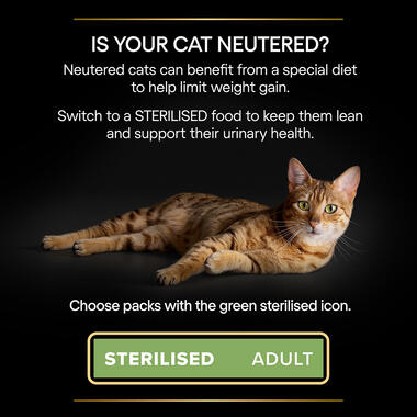 Is your cat neutered? Switch to a sterilised food to keey them lean and support their urinary health