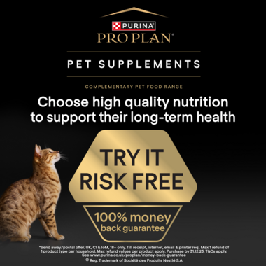 Pro Plan pet supplements try it risk free 100% money back guarantee