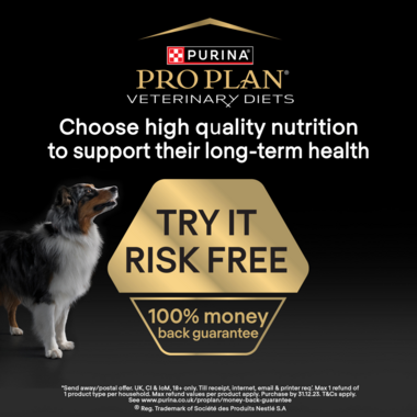 Pro Plan try it risk free, 100% money back guarantee