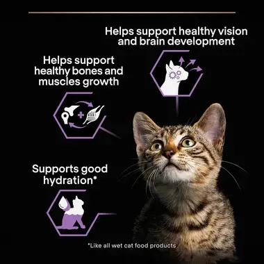 Helps support healthy vision and brain development, healthy bones and muscles, good hydration
