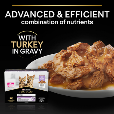 Advanced & efficient combination of nutrients with turkey in gravy