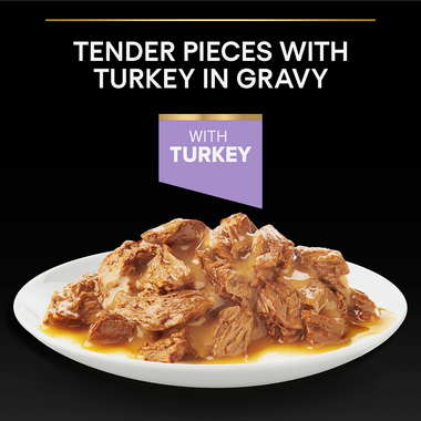 Tender pieces with Turkey in gravy