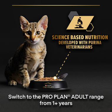 Science based nutrition developed with Purina Veterinarians