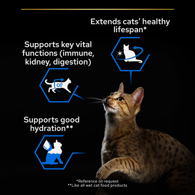 Extends cats' healthy lifespan, supports key vital functions, supports hydration