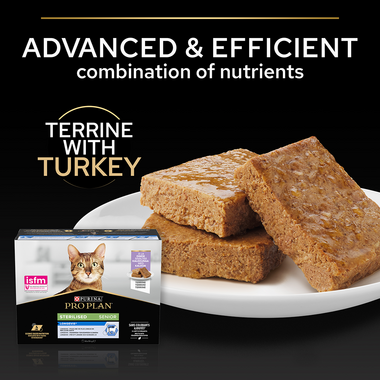 Advanced & efficient combination of nutrients, terrine with turkey