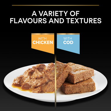 A variety of flavours and textures with chicken and cod