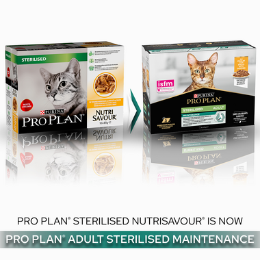 Pro Plan Sterlised Nutrisavour is now Pro Plan Adult Sterlised Maintenance