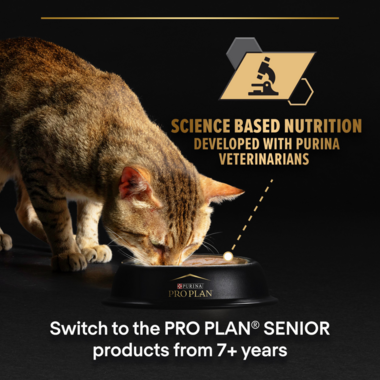 Switch to the Pro Plan Senior products from 7+ years