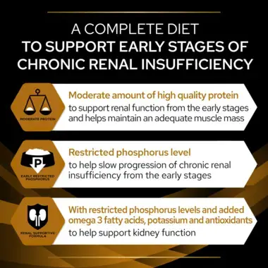 PRO PLAN® VETERINARY DIETS NF Renal Function Early Care Dry Cat Food