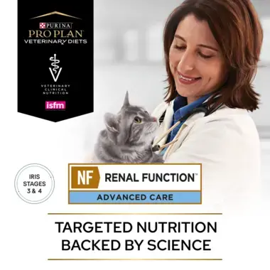 PRO PLAN® VETERINARY DIETS NF Renal Function Advanced Care with Salmon Wet Cat Food Pouch