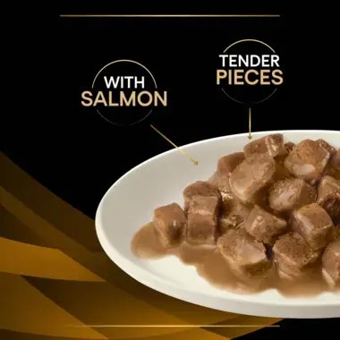 PRO PLAN® VETERINARY DIETS NF Renal Function Advanced Care with Salmon Wet Cat Food Pouch