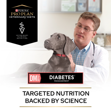 PRO PLAN® VETERINARY DIETS DM Diabetes Management Dry Dog Food