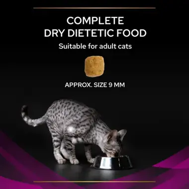PRO PLAN® VETERINARY DIETS UR Urinary with Chicken Dry Cat Food