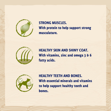 Strong muscles / Healthy skin and shiny coat / Healthy teeth and bones