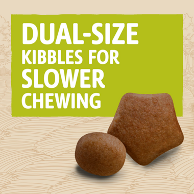 Dual-size kibbles for slower chewing