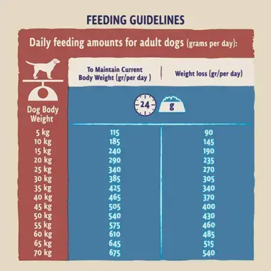 Beta large breed online