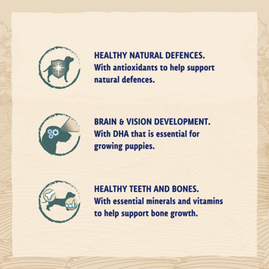 Healthy natural defences / Brain & vision development / Healthy teeth and bones