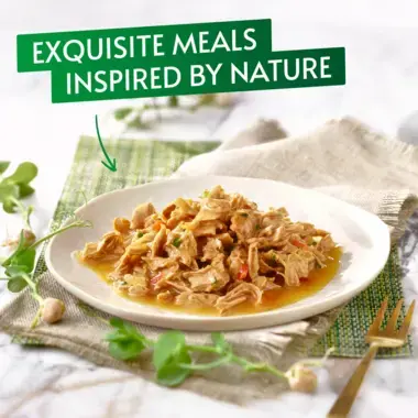 Exquisite meals inspired by nature