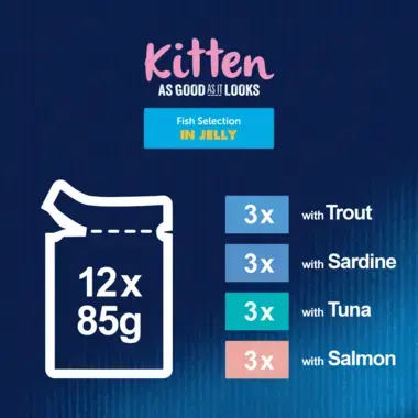 As Good As It Looks Kitten Fish Selection in Jelly 12 x 85g