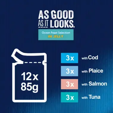 As Good As It Looks Ocean Feast Selection in Jelly 12 x 85g