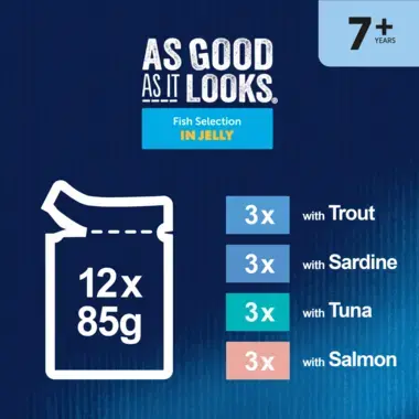 As Good As It Looks Fish Selection in Jelly 12 x 85g