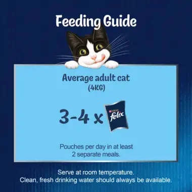 Feeding guide for average adult cat (4kg)
