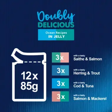 Doubly Delicious Ocean Selection 12 x 85g